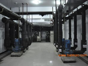 一流的集中式空調(diào)維護(hù)保養(yǎng) 要找可靠的中央空調(diào)系統(tǒng)維護(hù)保養(yǎng),競創(chuàng)機(jī)電設(shè)備公司,一流的集中式空調(diào)維護(hù)保養(yǎng) 要找可靠的中央空調(diào)系統(tǒng)維護(hù)保養(yǎng),競創(chuàng)機(jī)電設(shè)備公司生產(chǎn)廠家