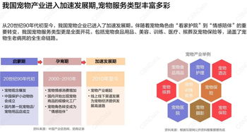 3.6億銷售額！寵物用品雙11整月戰報解讀，日用品消費展現強勁增長