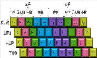 鍵盤打字指法指南 每根手指的正確分工
